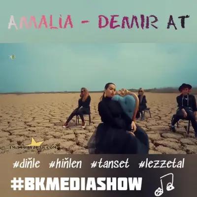 Amalia Zehin - Demir At