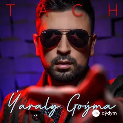 Tach     - Ýaraly goýma