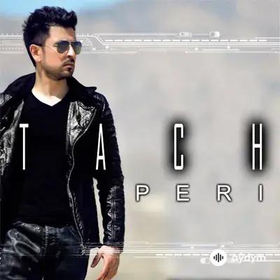 Tach     - Peri