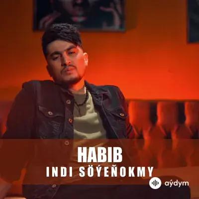 Habib     - Indi Söýeňokmy
