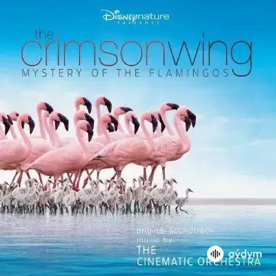 Beýlekiler     - Arrival of the Birds (Piano)