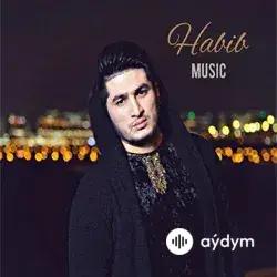 Habib Music'iň döreden HIT aýdymlar toplymy