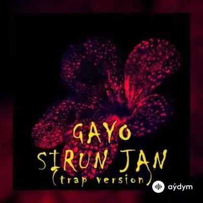 GAYO Gaygysyz Kulyyew - Sirun jan