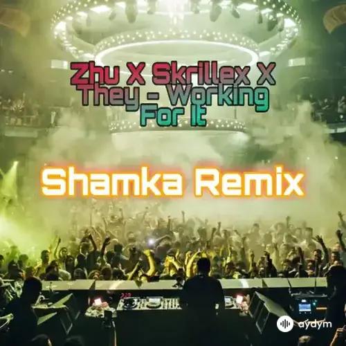 Shamka  - Zhu X Skrillex X They - Working For It (RMX)