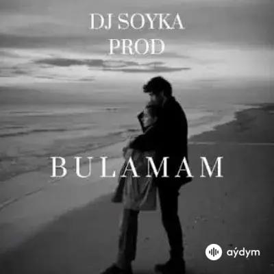Dj Soyka  - Bulamam (Prod)