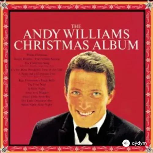 Andy  Williams - Its the Most Wonderful Time of the Year 