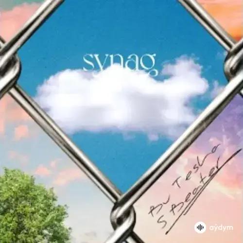 Bu Tesla -S Beater  - Synag