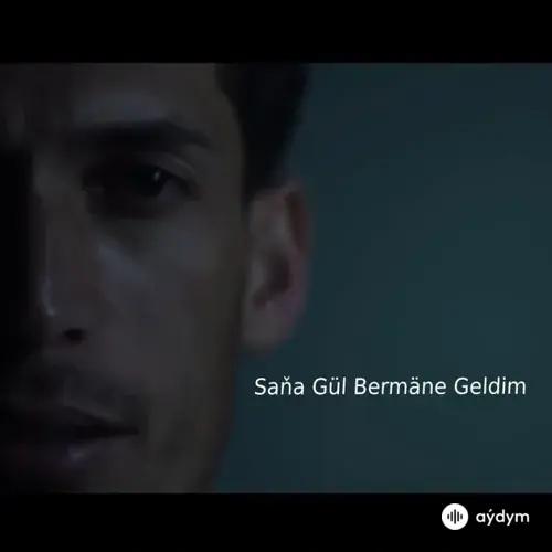 Beýlekiler     - Saña gül bermäne geldim - Begenç Agageldiýew   (Cover)
