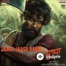 Hindi aýdymlary - Pushpa Jaago Jaago -  Allu Arjun & Rashmika Mandanna