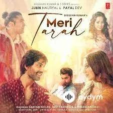 Payal Dev -Jubin Nautiyal  - Meri Tarah