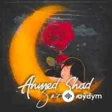 Ahmed Shad - Засыпай