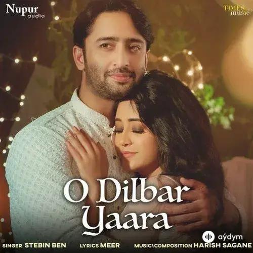 Hindi aýdymlary - O Dilbar Yaara