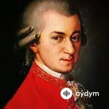 W.A.Mozart  - Piano Concerto No 21  Andante