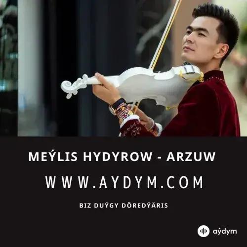 Arzuw - Meýlis Hydyrow