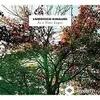 Ludovico Einaudi - Time Lapse