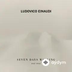 Ludovico Einaudi - Golden Butterflies Day 1