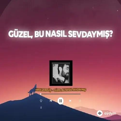 Güzel bu nasıl sevdaymış