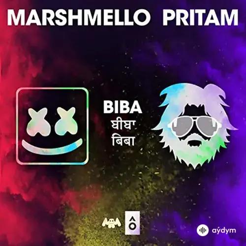 BIBA - Marshmello x Pritam feat. Shirley Setia & Shah Rukh Khan