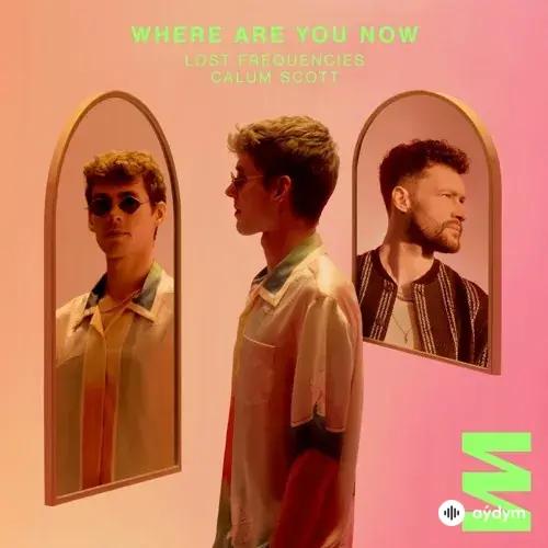 Lost Frequencies-Calum  Scott - Where Are You Now 