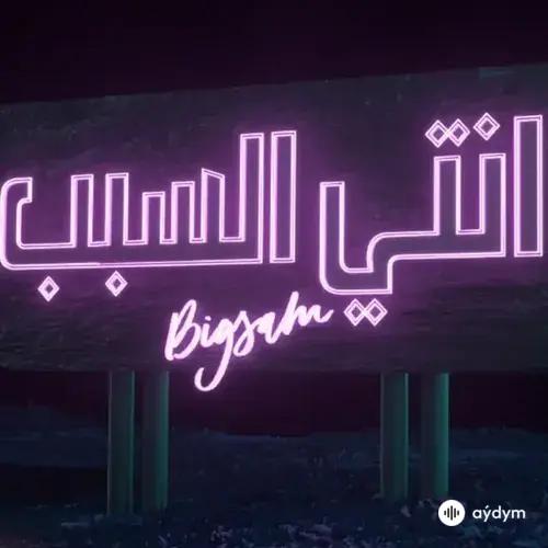 BiGSaM  - Enti El Sabab 