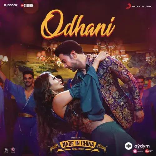 Odhani - & Sachin-Jigar