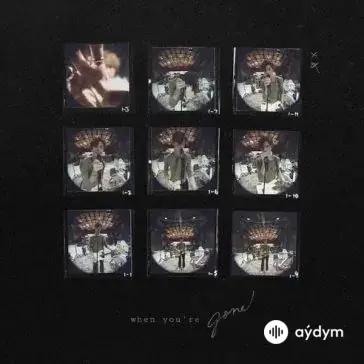 Shawn Mendes - When You're Gone