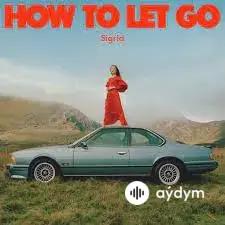 Sigrid - A Driver Saved My Night