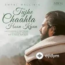 Amaal Mallik - Tujhe Chaahta Hoon