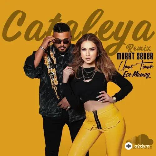 Cataleya - & Umut Timur