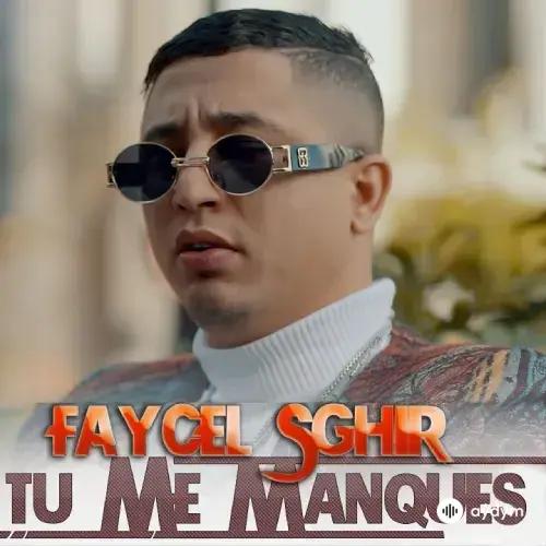 Faycel  Sghir - Te me manques paroles 