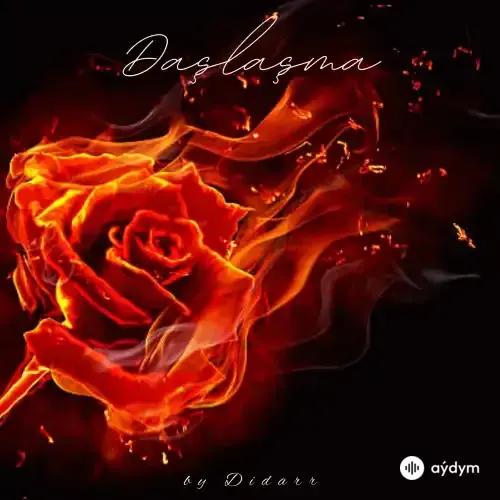 Didarr  - Daşlaşma