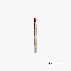 Rammstein - Ausländer