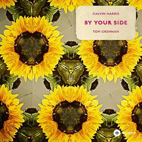 Calvin Harris-Tom Grennan - By Your Side