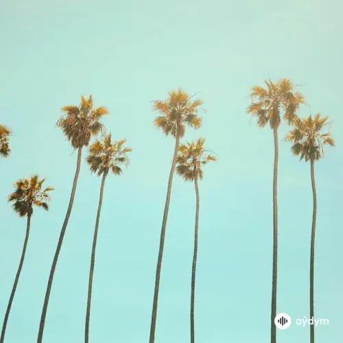 Besomage - California Dreaming - & Lunis