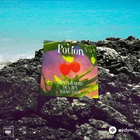 Calvin Harris-Young Thug -Dua Lipa - Potion