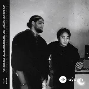 The Limba-Andro - X.O