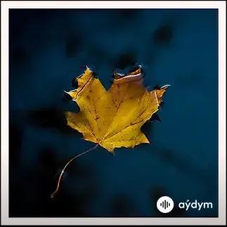 Pälwan Halmyradow - Gel