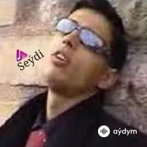 Seýdi     - Suduruň Gitdi