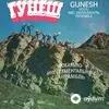 Güneş Rişat Şafi - Жиги Жиги Девушка