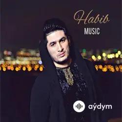 Habib  - Дни И Ночи (cover Babek Mamedrzaev)