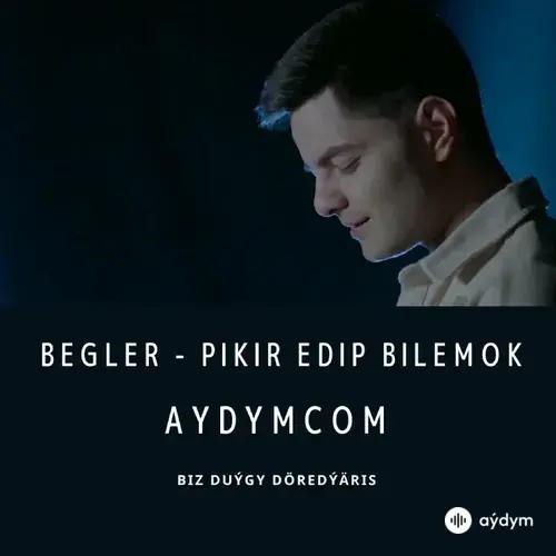 Pikir Edip Bilemok - Begler