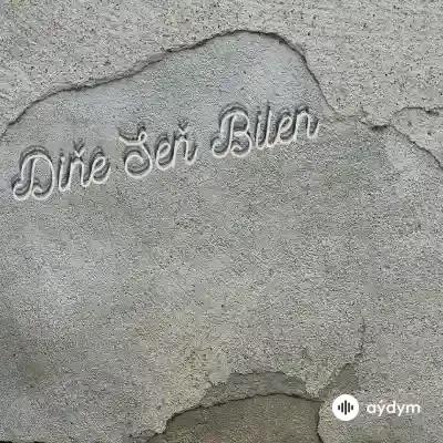 Beýlekiler     - Diňe Seň Bilen - Didar Hummedow