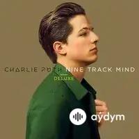 Charlie Puth-Selena Gomez - We Don't Talk Anymore