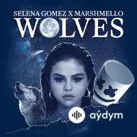 Selena Gomez-Marshmello  - Wolves