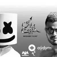 Marshmello -Amr Diab  - Bayen Habeit 