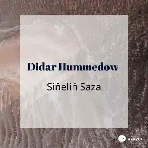 Beýlekiler     - Siňeliň Saza - Didar Hummedow