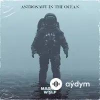 Astronaut In The Ocean