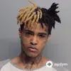 XXXTentacion - The remedy for a broken heart (why am I so in love)