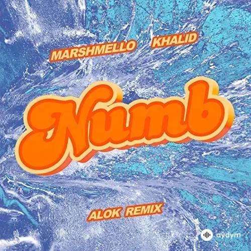 Marshmello -Khalid - Numb (Alok Remix)
