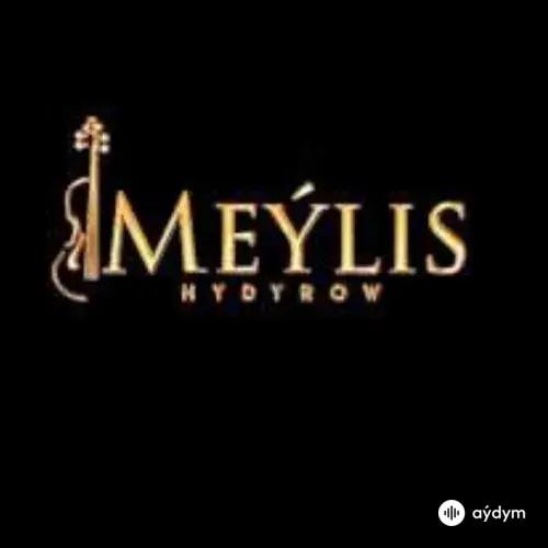 Meýlis Hydyrow - Kal Ho Naa Ho